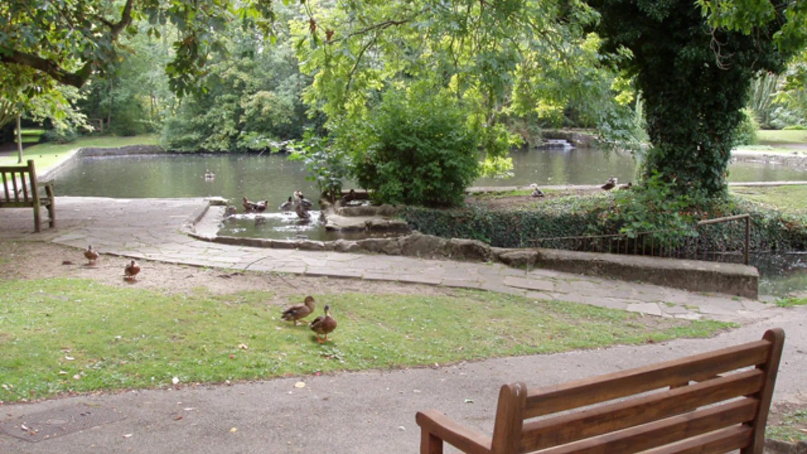 The ornamental lakes at Bradbourne Lakes Park, Sevenoaks