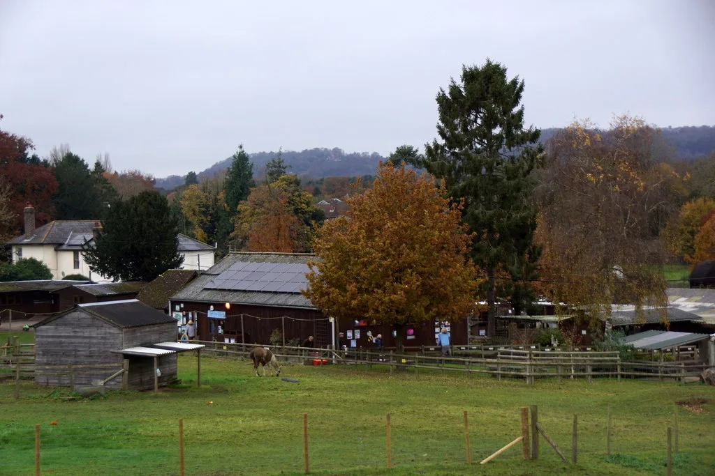 Paddocks and barns at Godstone Farm in autumn, with the North Downs behind.