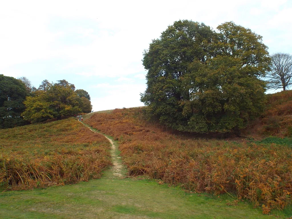 A footpath through autumn bracken in Knole Park, Sevenoaks, which is free to walk into on foot.