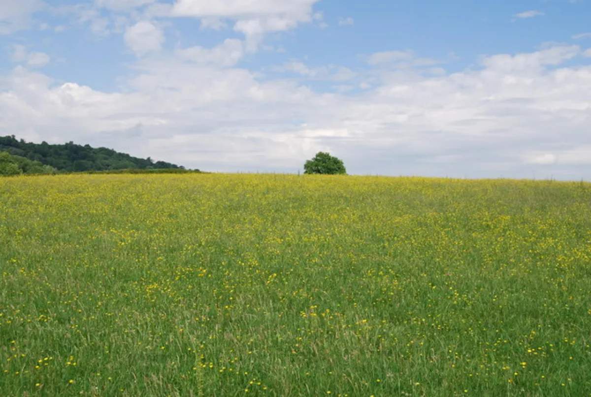 Farmland near Underriver, in the Kent Downs National Landscape